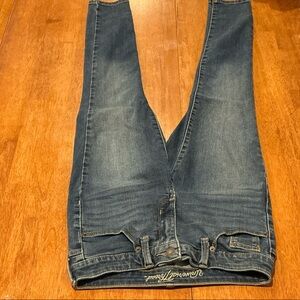 American Eagle Outfitters Dark Blue Skinny Jeans